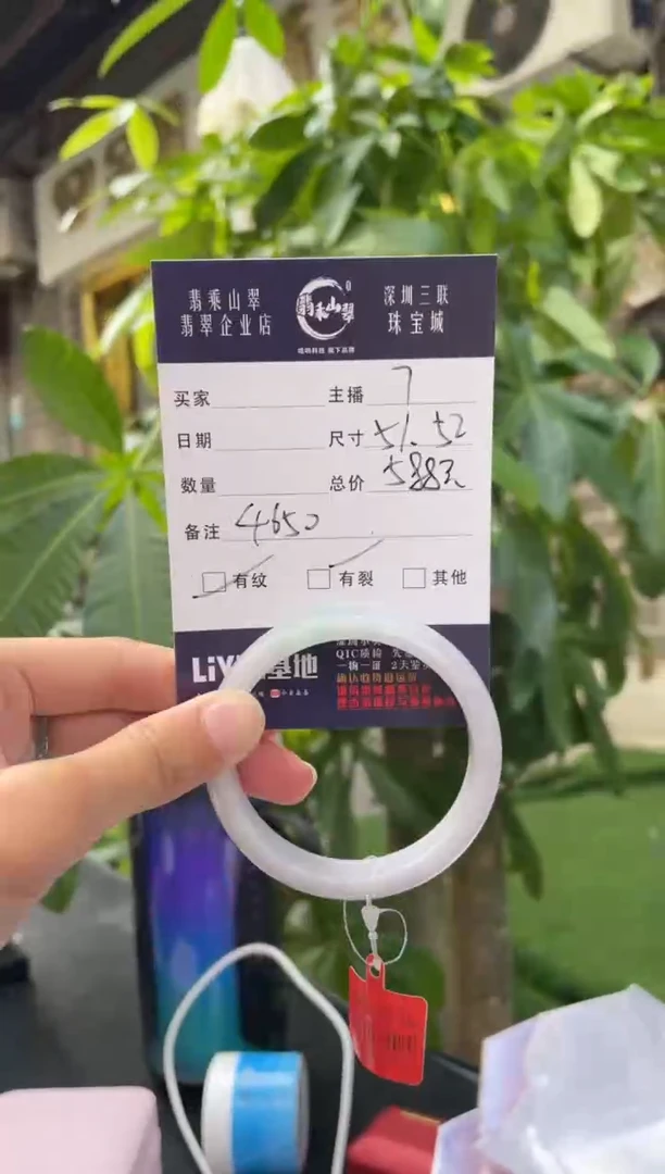 未镶嵌手镯翡翠Q 51正圈 4650