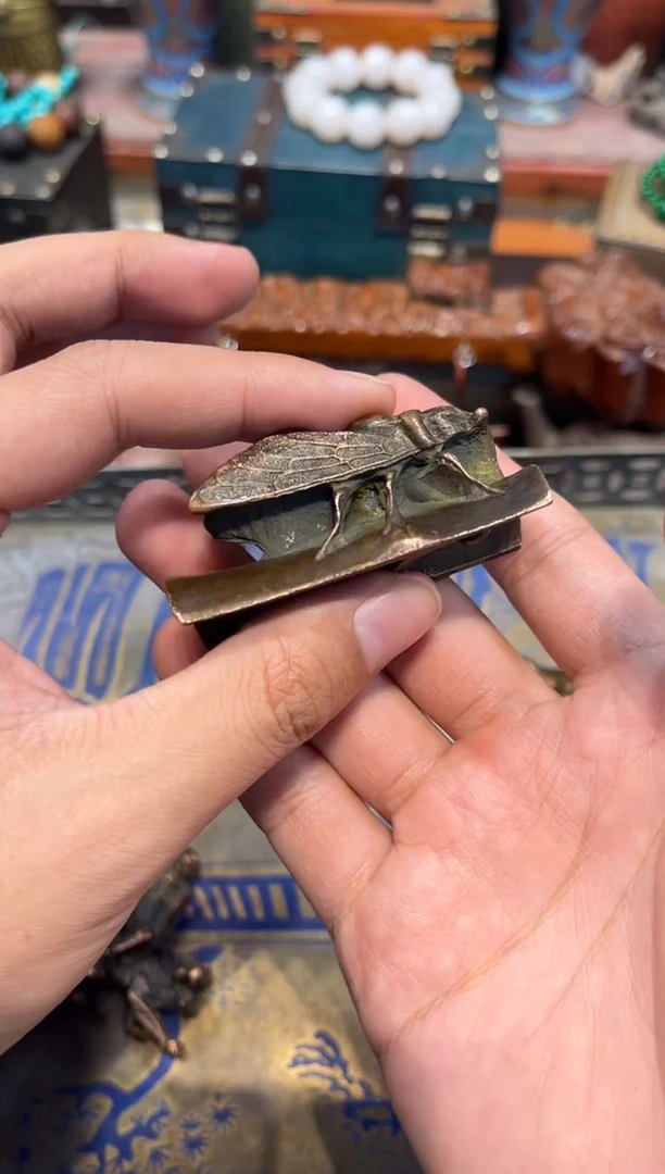 D刘哥专属高端精品6