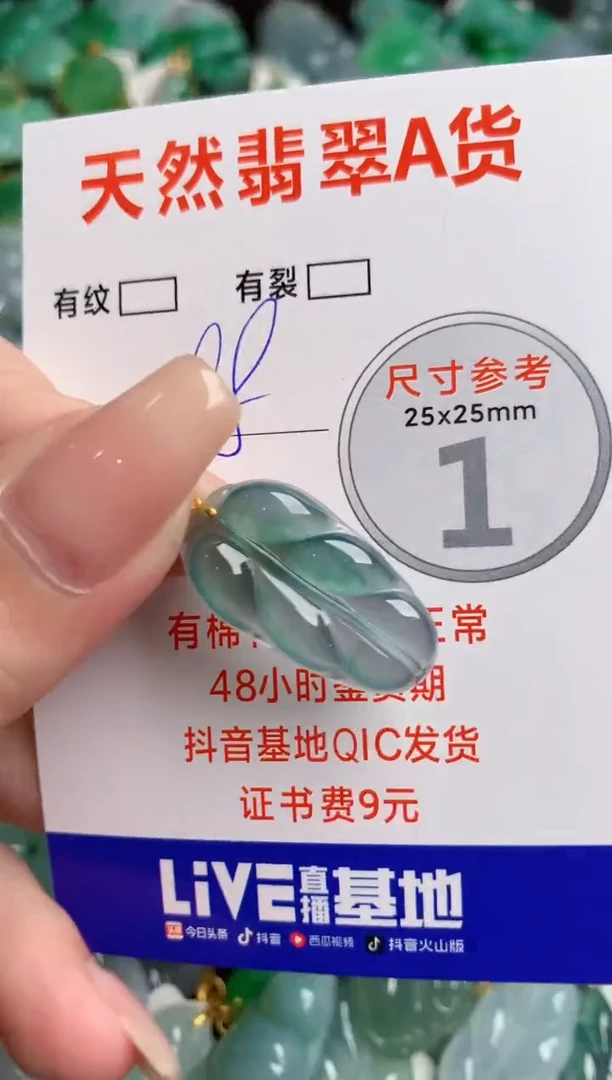 翡翠18K金镶嵌颈饰24000898