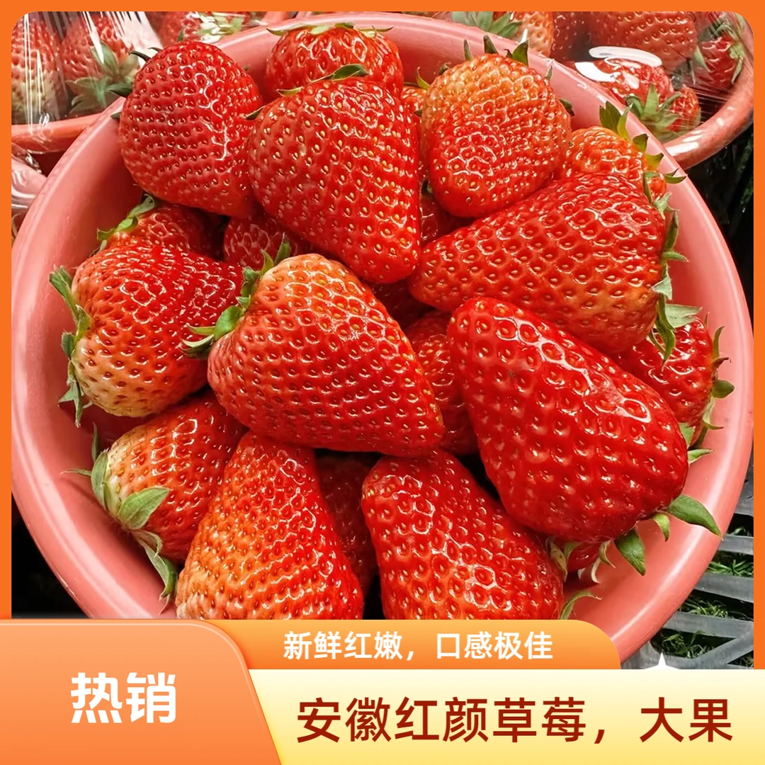 【带盆1.9-2.0斤】安徽奶油草莓，中果，净果约1.6-1.7斤左右，安徽奶油草莓，口感酸酸甜甜
