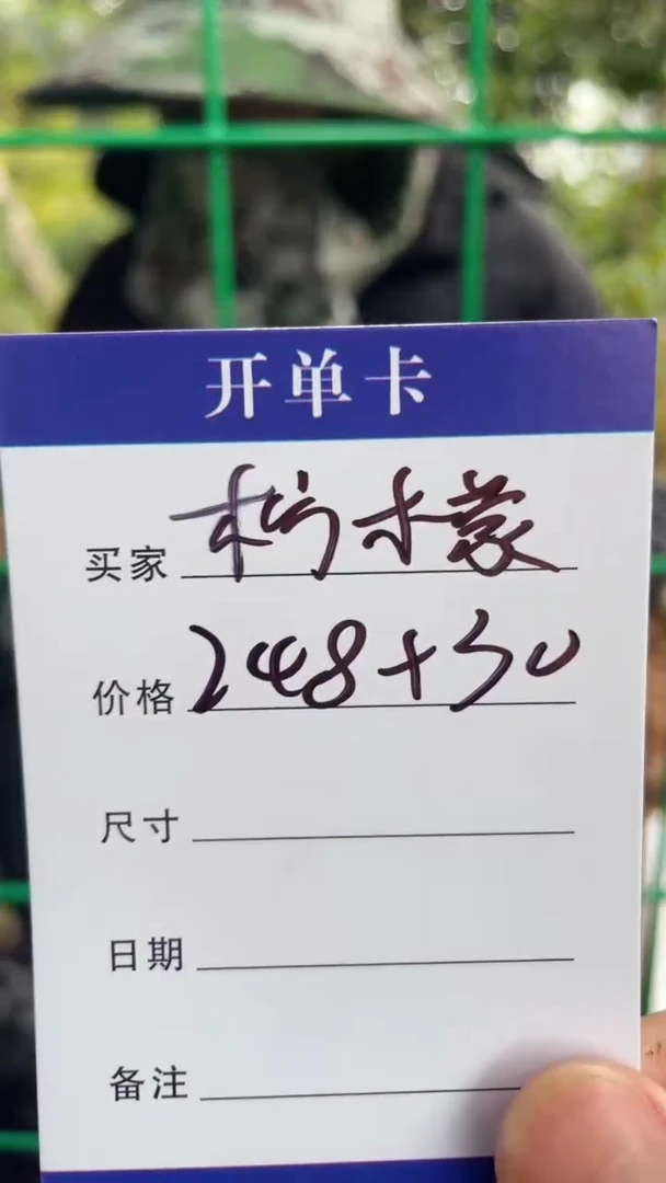 非金属无柠*檬手镯下单链接秒拍秒付