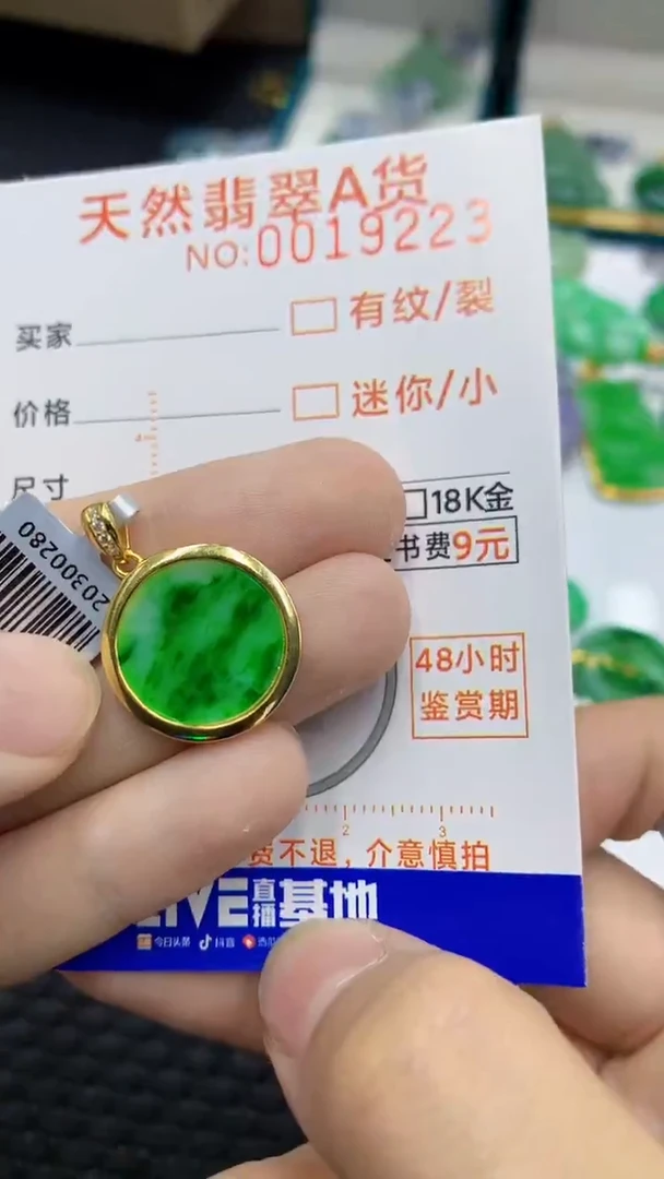 翡翠银S925镶嵌颈饰            8