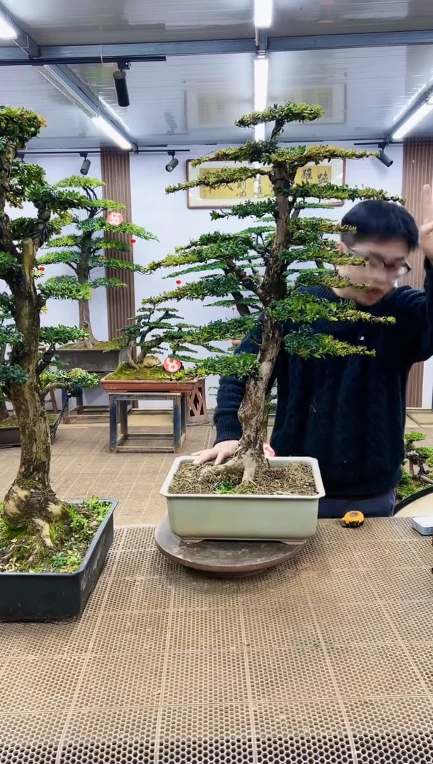 【闪购商品】000000