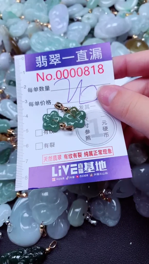 吊坠(不含链)未镶嵌翡翠818