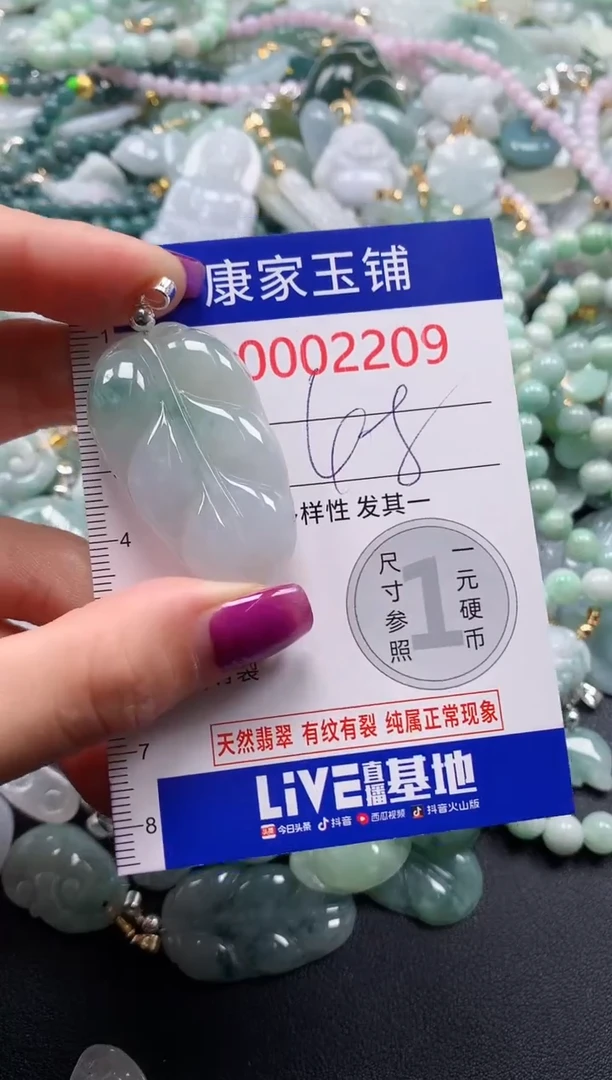 颈饰未镶嵌翡翠2209+