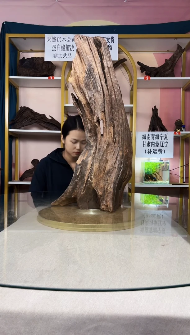 装***和SQCM 紫柚木秒沉A307
