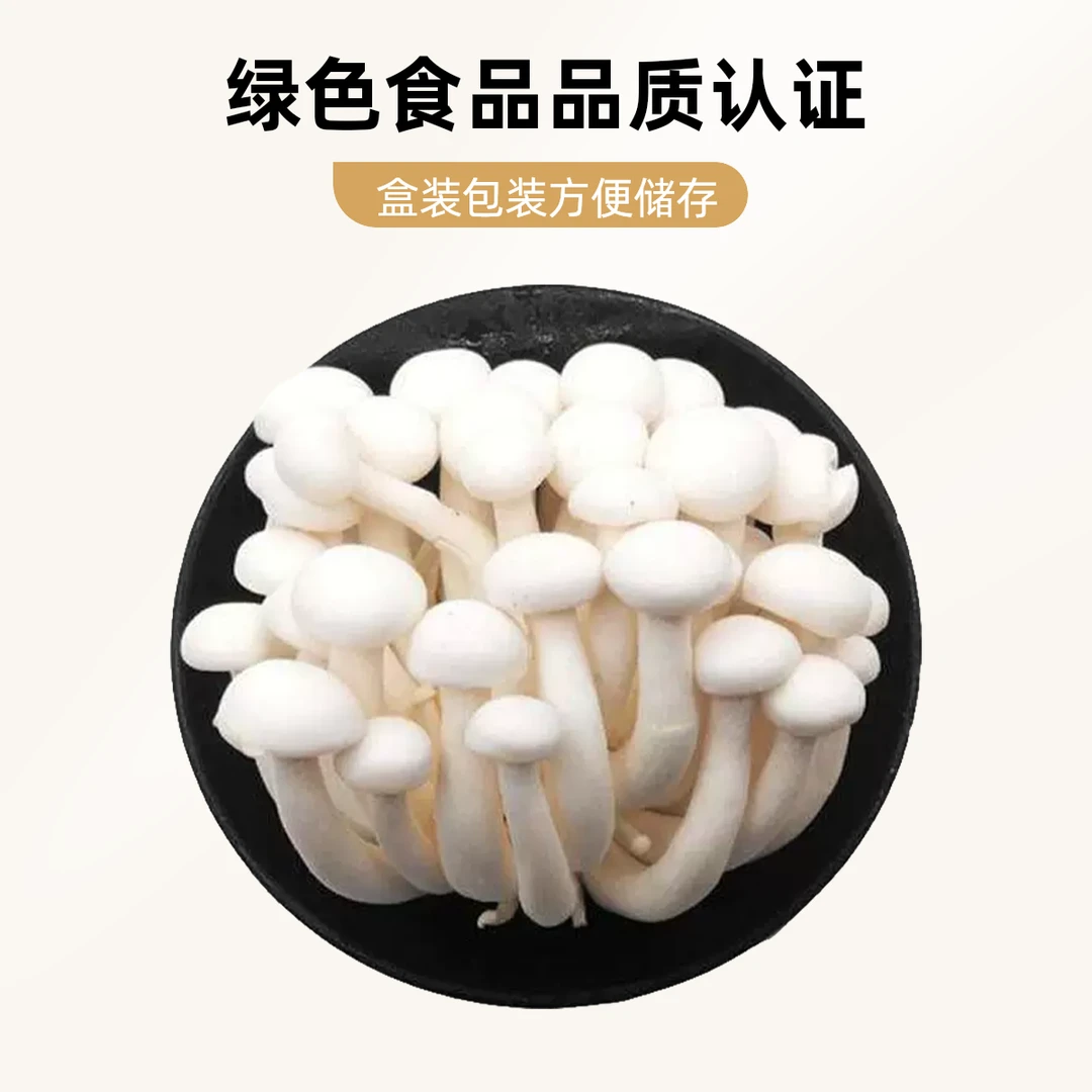 小白玉菇约180g/盒绿色蔬菜