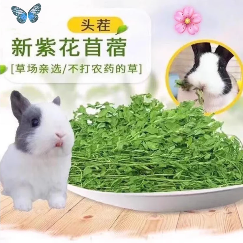 兔子食物紫花苜蓿草干草幼兔龙猫豚鼠宠物主粮牧草食物