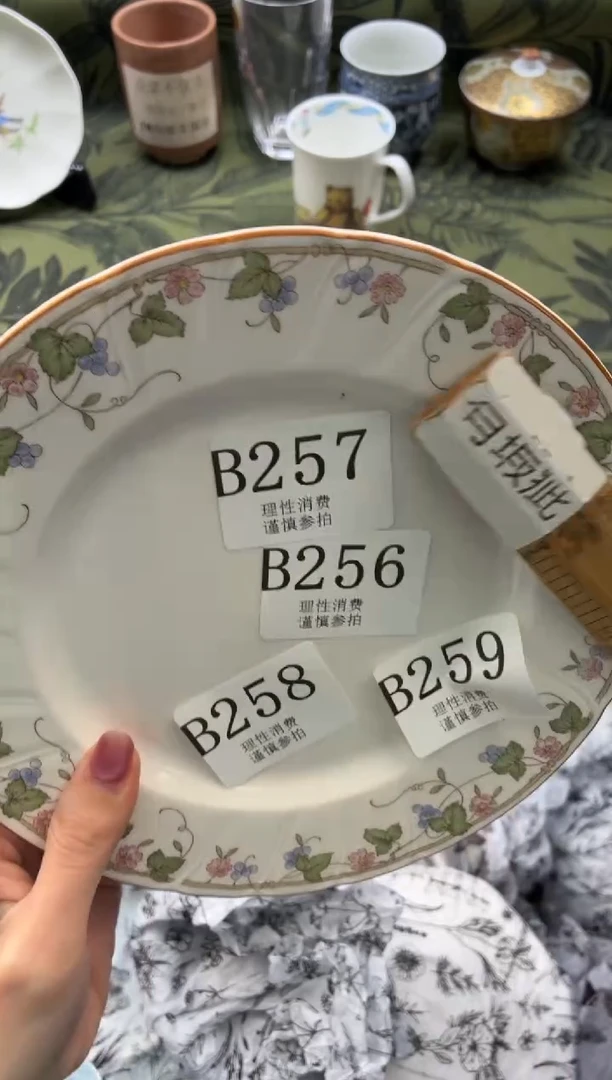 瓷片饲*员       B258