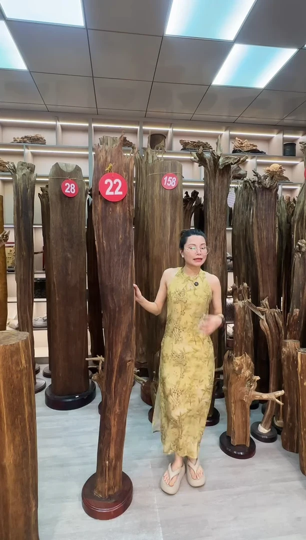 沉香碎屑沉香元*原料摆件工艺品一百以上带底座沉香