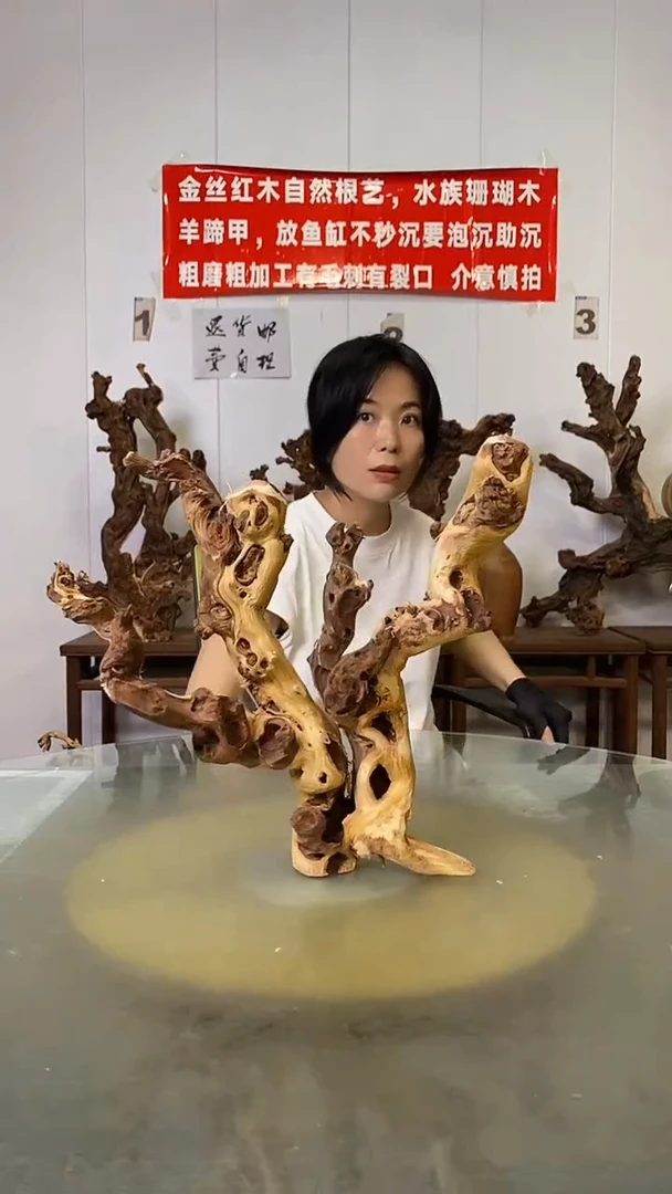 香榧木老****）金丝红木   羊蹄甲