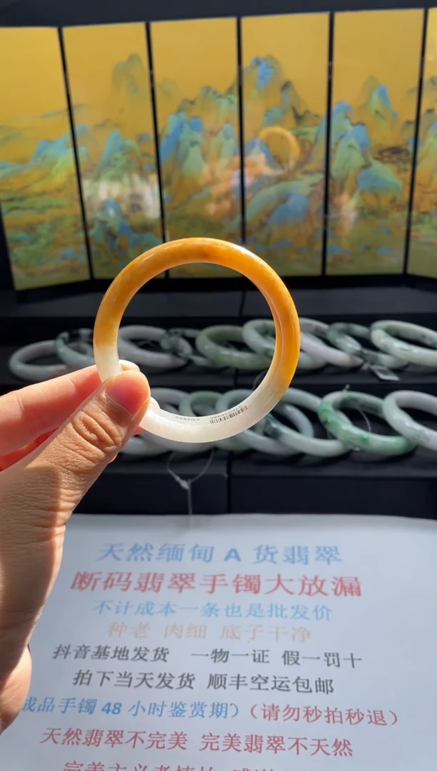 未镶嵌手镯翡翠21#天然缅甸A货翡翠手镯55-56圈口