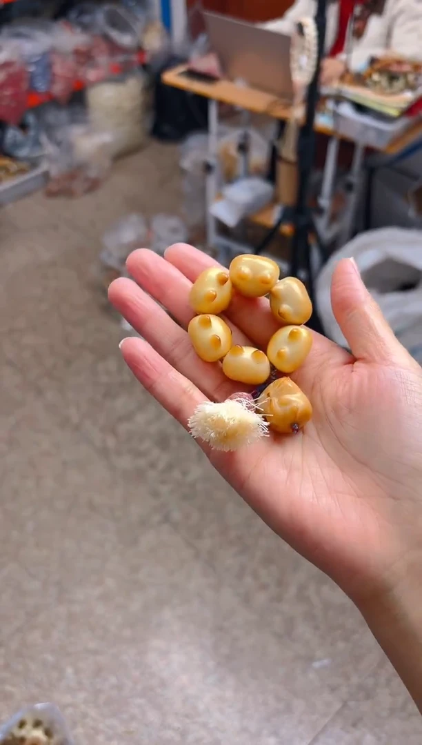 吊坠菩提根/象牙果柯基屁屁手捻