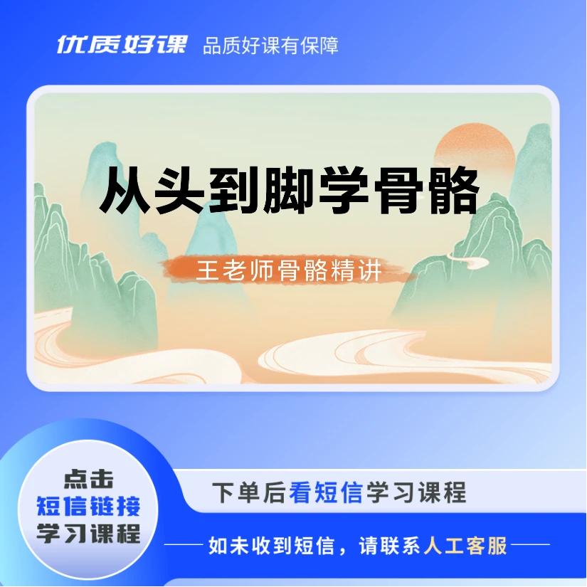 全身骨骼精细讲解
