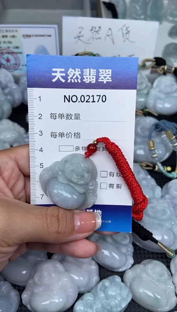 颈饰未镶嵌翡翠纯天然A货翡翠2170