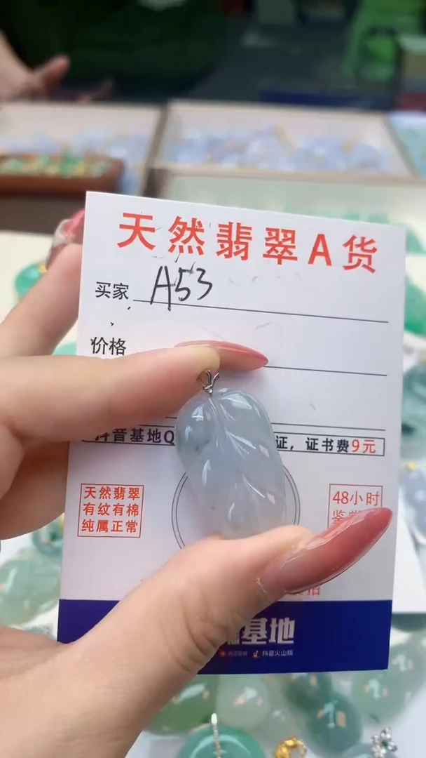 颈饰未镶嵌翡翠天然A货翡翠挂件