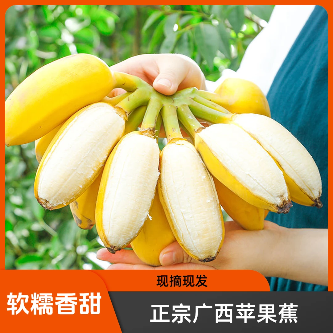 正宗广西苹果蕉特大果粉蕉软糯香甜小香蕉非贡蕉土香蕉产地直发
