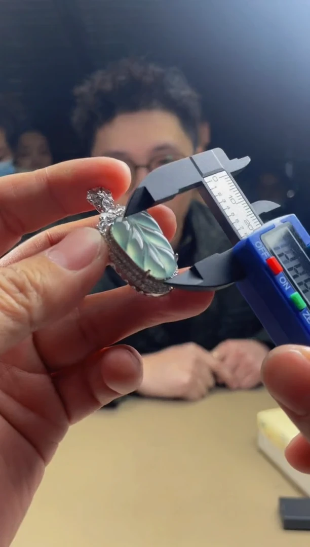 【闪购商品】翡翠颈饰未镶嵌         1727