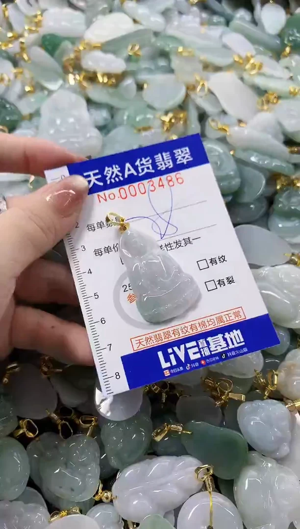 颈饰未镶嵌翡翠天然A货翡翠