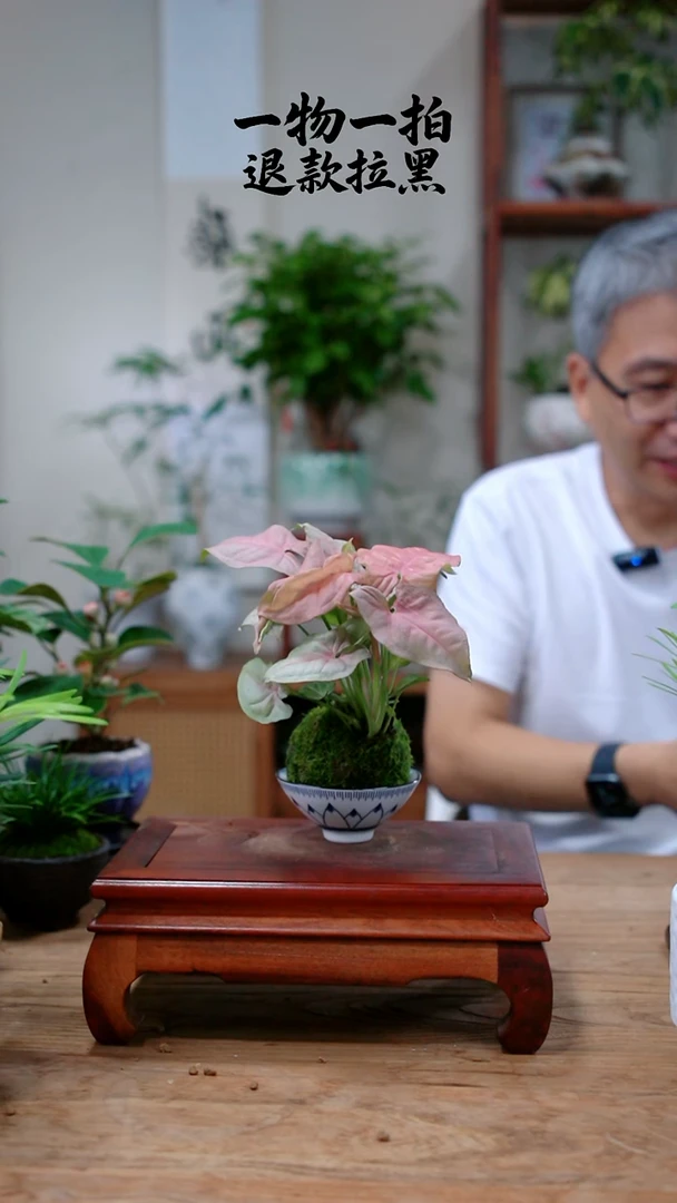 完全开放烟****y红粉430