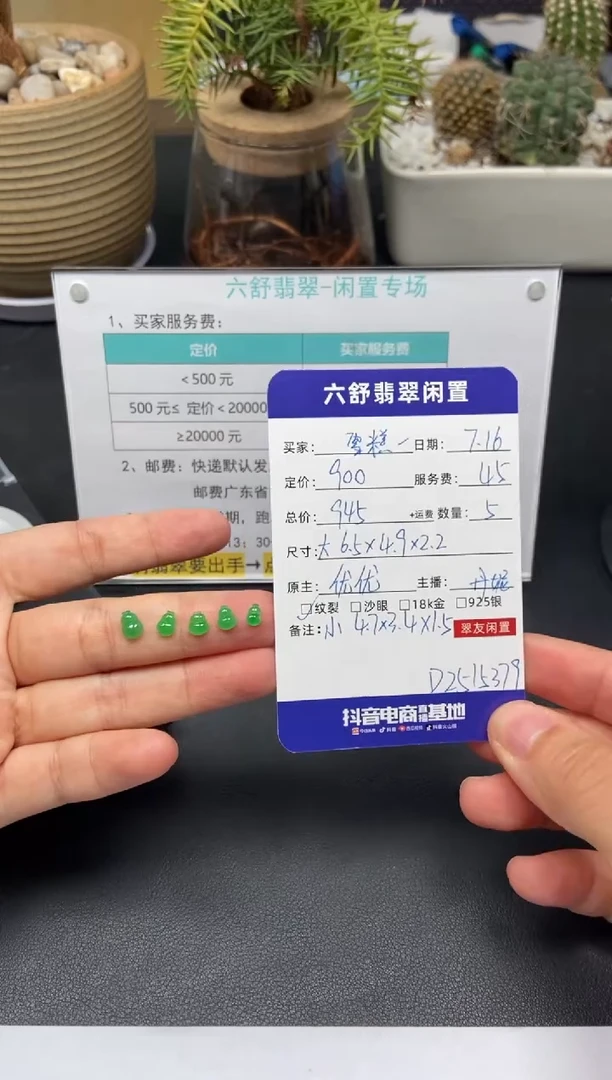 翡翠未镶嵌颈饰?***?D2515379