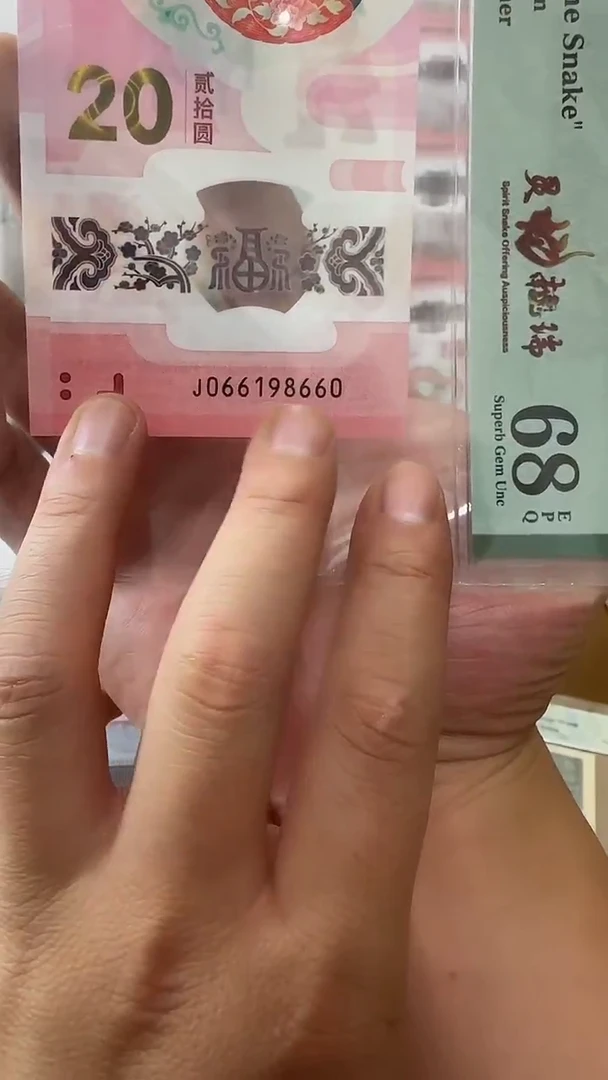 塑料066198660-蛇钞单张