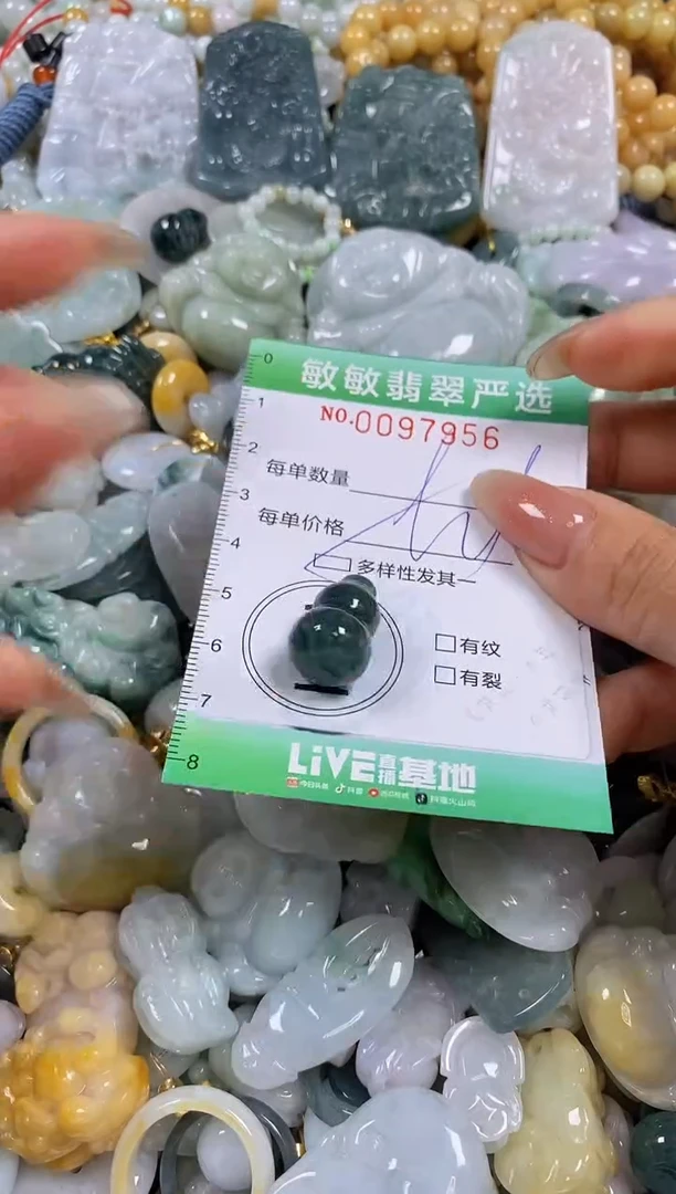 【闪购商品】翡翠颈饰未镶嵌闪购0097956多样性发其一