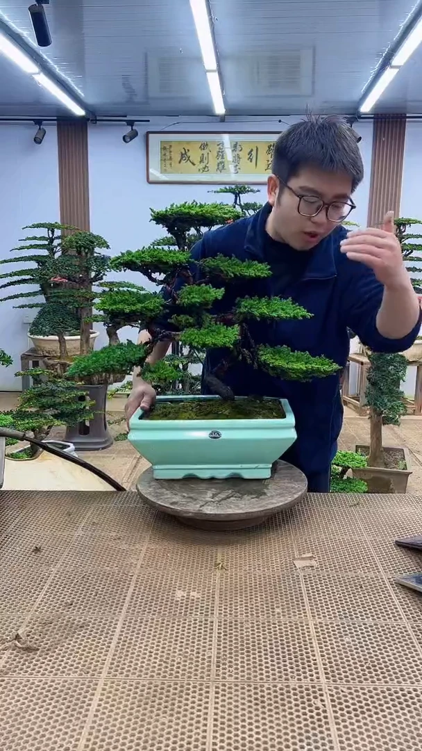 无花朵用****5000000000000