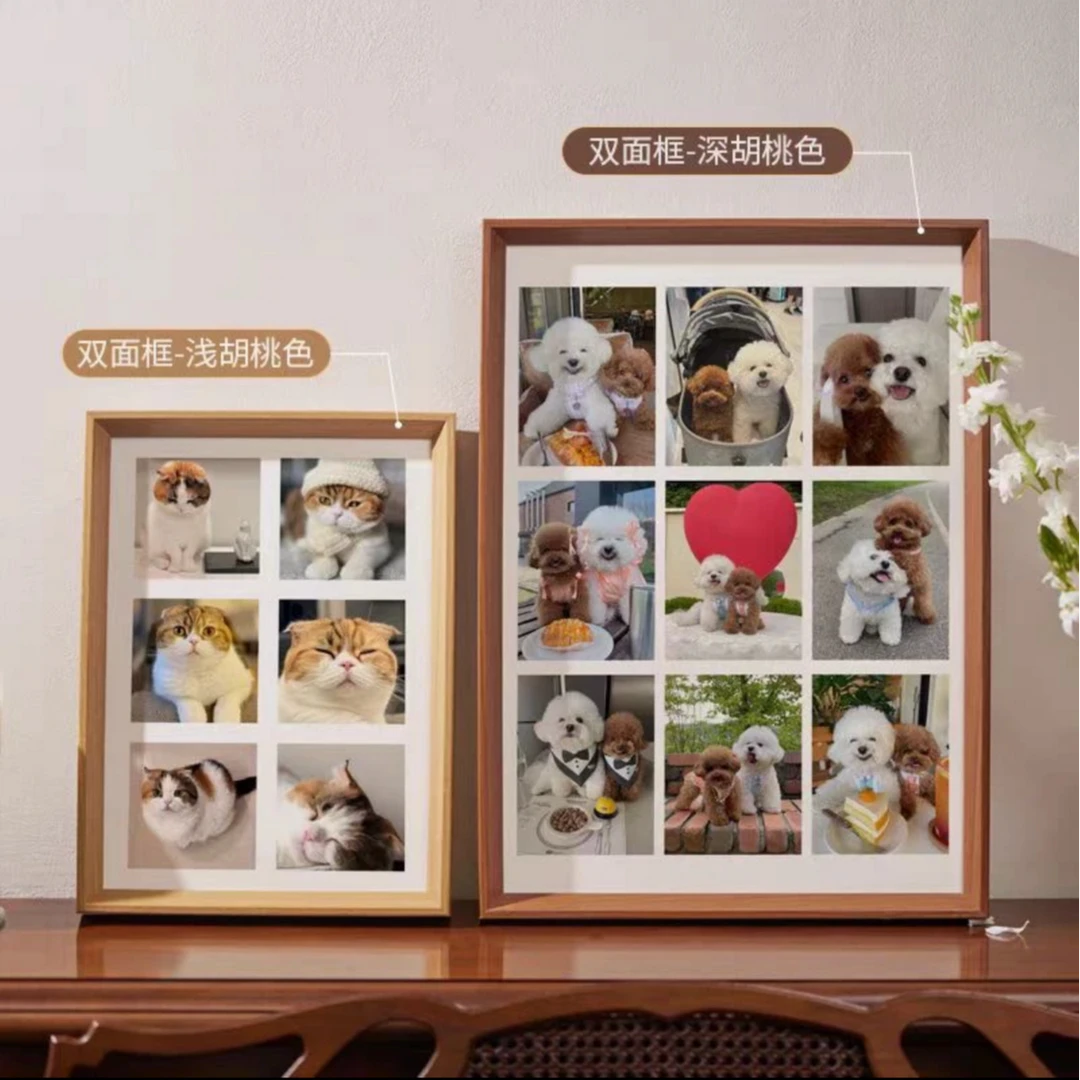 宠物相册猫咪专属链接（拍这个）