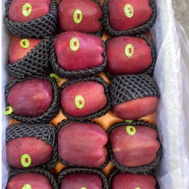 精品花牛苹果  5斤 大果【顺丰次日达】