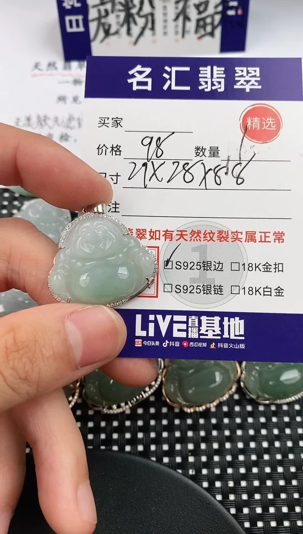 翡翠银S925镶嵌颈饰·