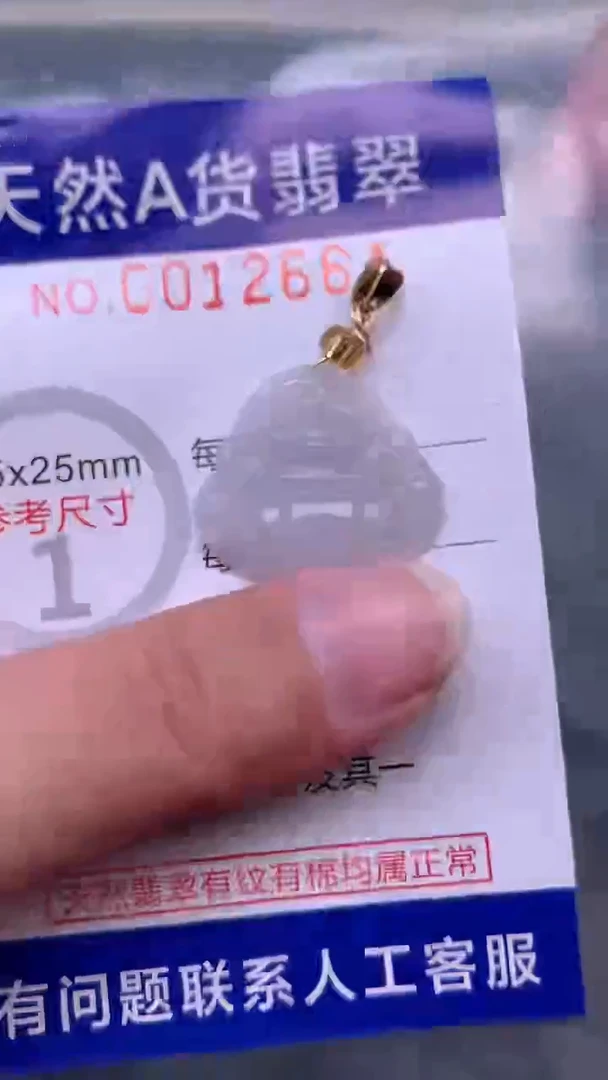翡翠未镶嵌吊坠(不含链)1