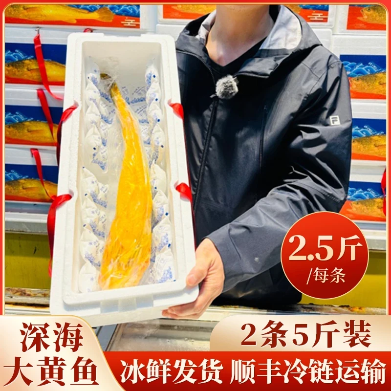 宁德深海大黄鱼一箱2条5斤装 冰鲜顺丰冷链发