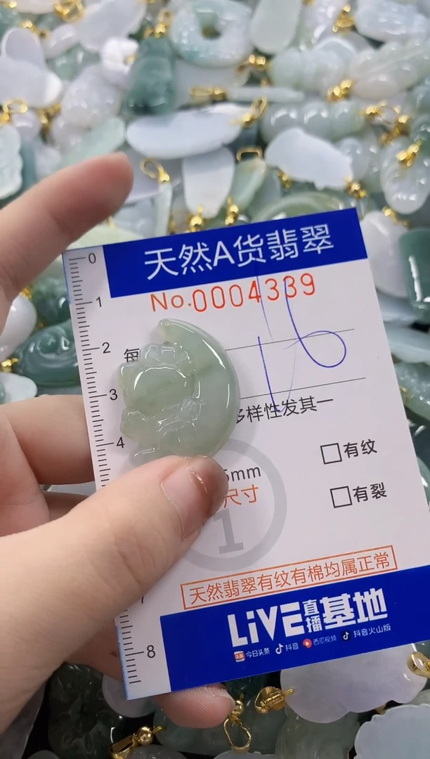 颈饰未镶嵌翡翠天然a货翡翠