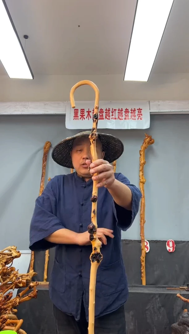 【闪购商品】黑果木其他黑果木564