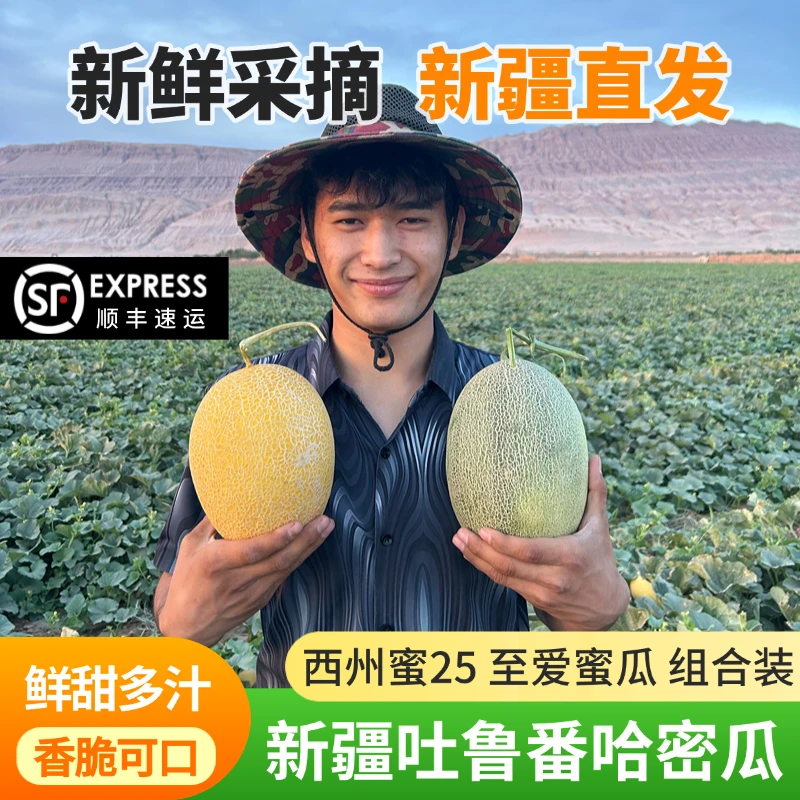 [顺丰航空]正宗新疆哈密瓜7-9斤包邮西州蜜25号至爱蜜瓜产地直发