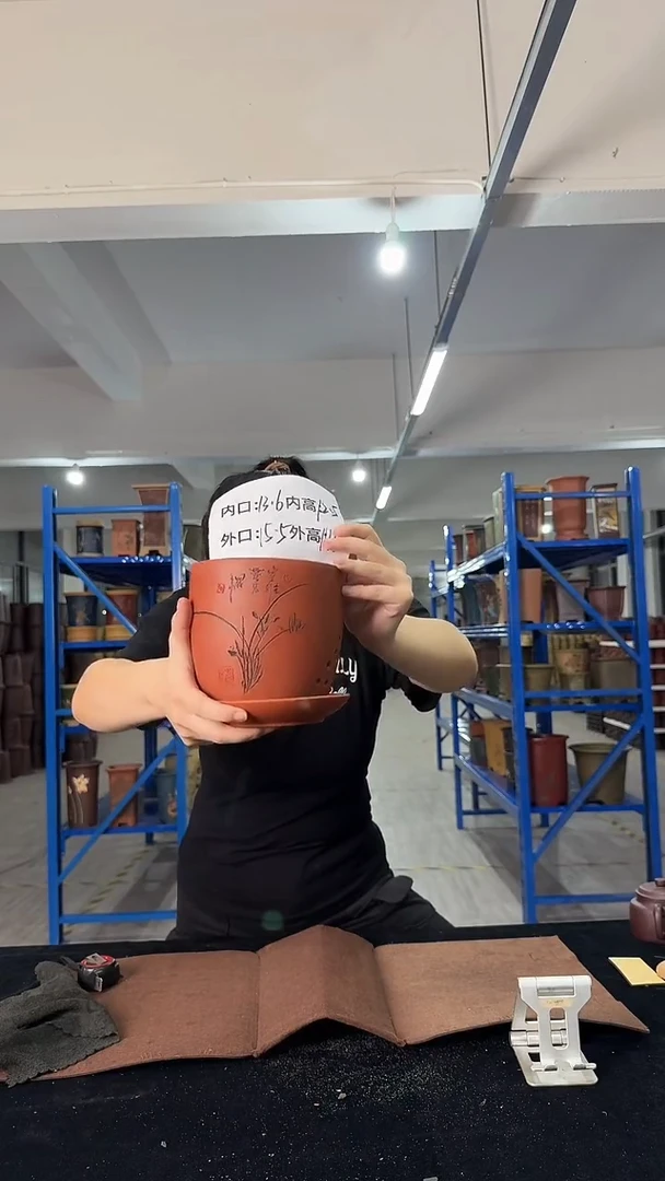 紫砂花盆君子兰一只带托