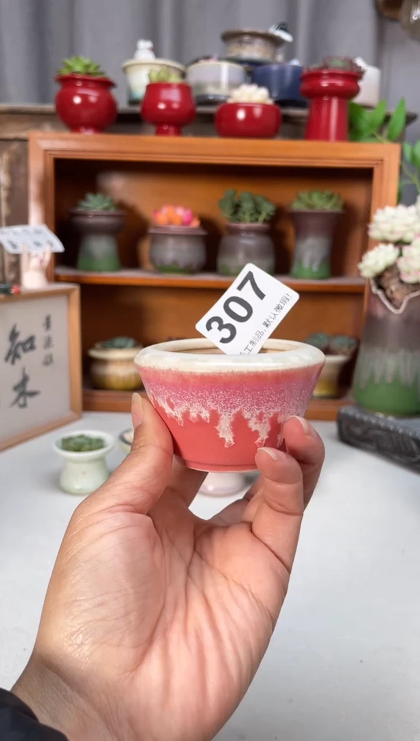 瓷片307知木小芳花盆