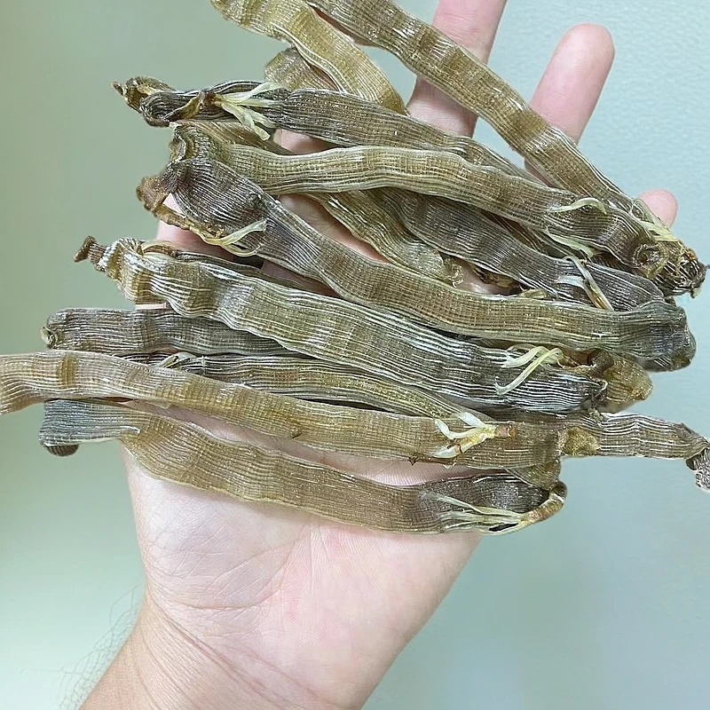 干货 深海黑灰沙虫干