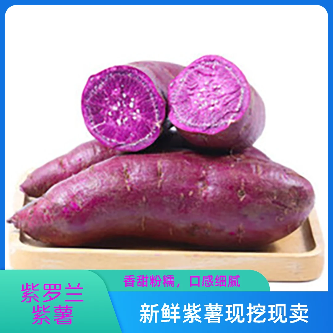 北京本地紫罗兰紫薯蜜薯2500g