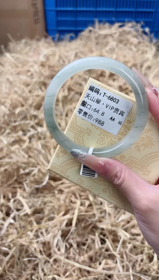 未镶嵌手镯石英质玉T-6803