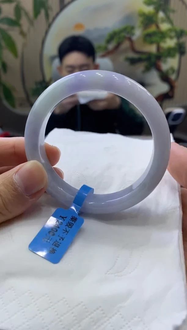 未镶嵌手镯翡翠9183