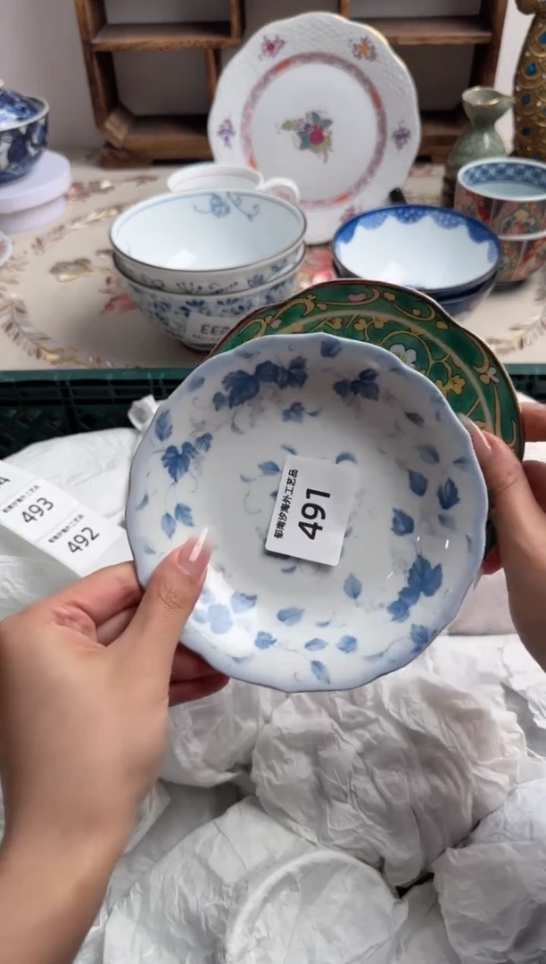 瓷片C           491