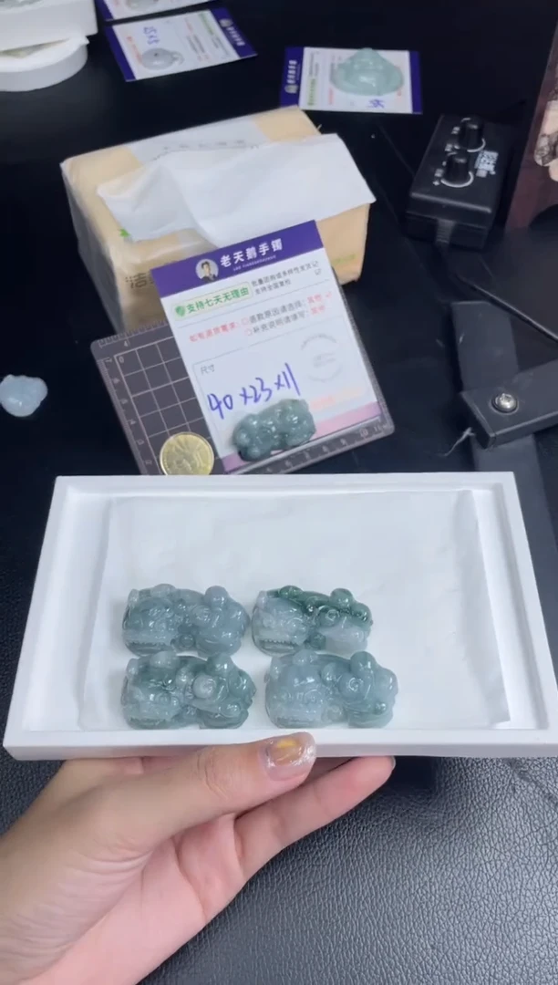 未镶嵌挂件翡翠飘花貔貅FL13配绳/多样性发其一ZBCP