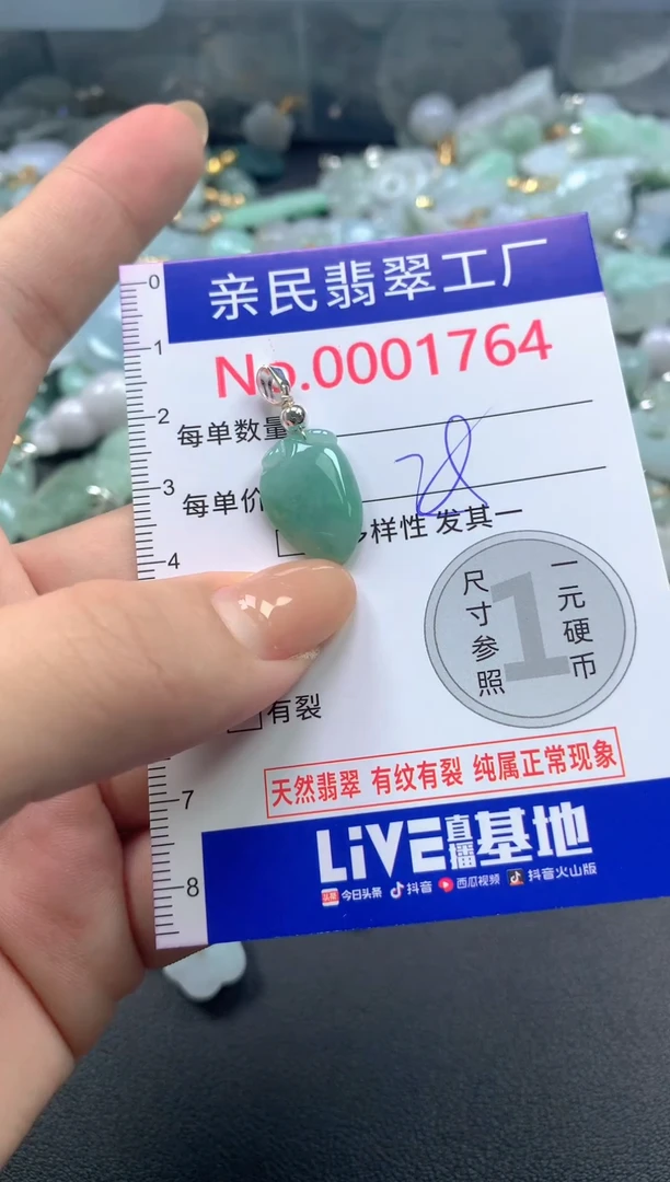 颈饰未镶嵌翡翠1764