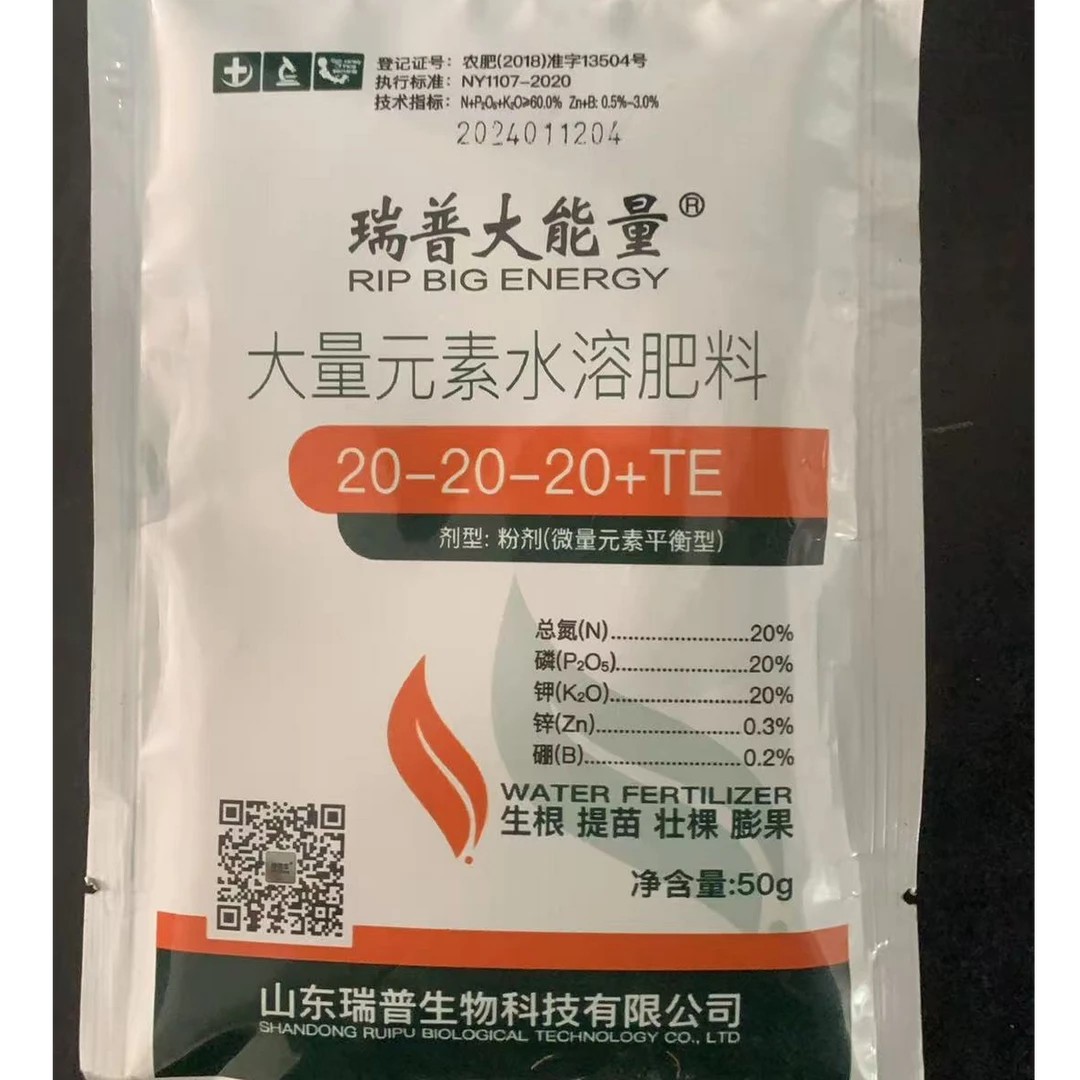 【7号】茉莉花花大朵混合套餐