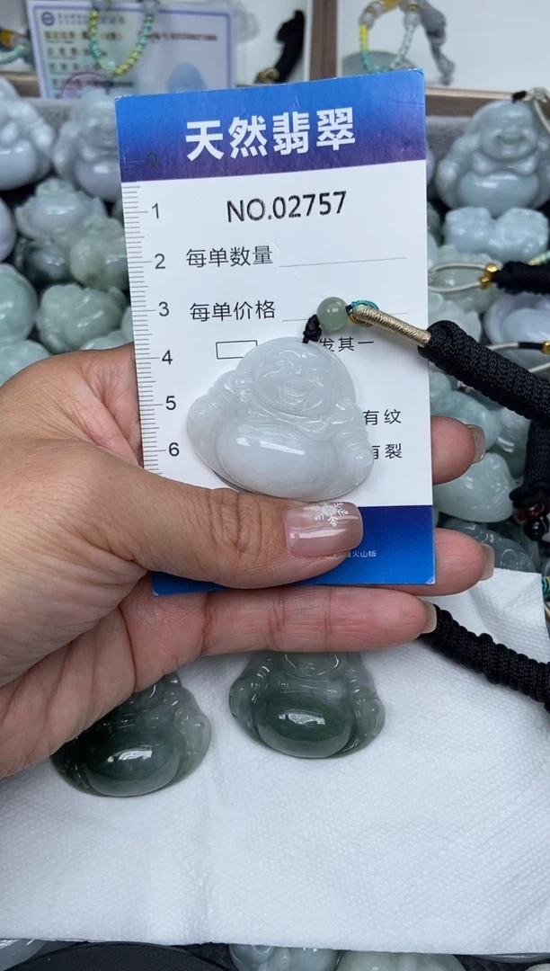 颈饰未镶嵌翡翠纯天然A货翡翠2757