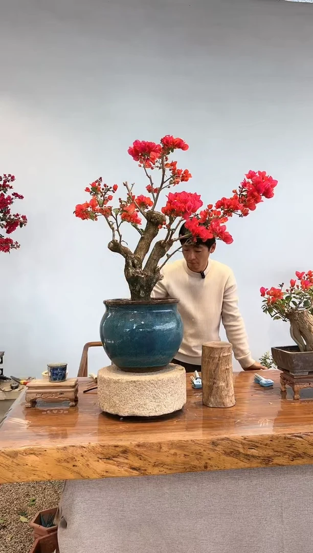 【闪购商品】AA912