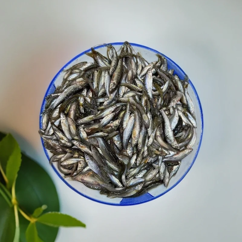 京东包邮冷水小杂鱼（一单5斤闲小勿拍）产地吉林松原直发