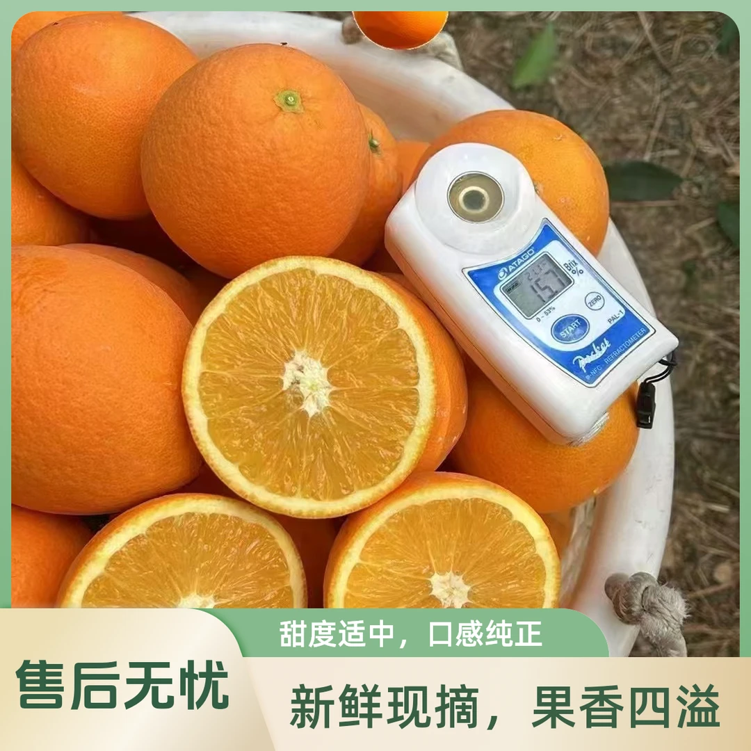 赣南脐橙约10斤/箱